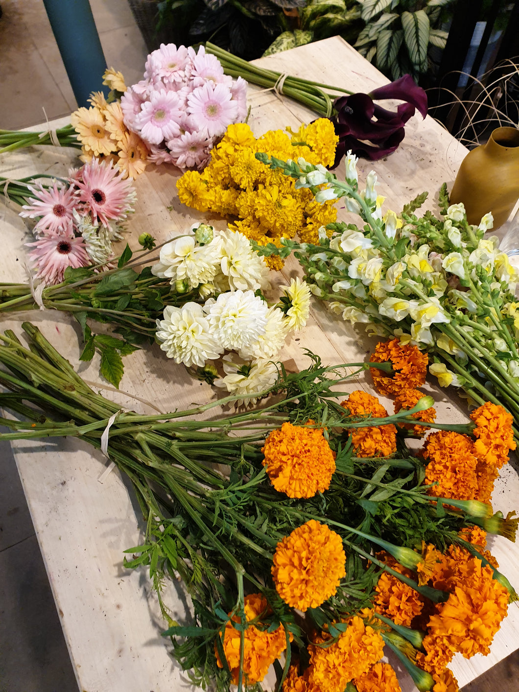 Atelier Fleurs fraîches / séchées - prochaines dates :
